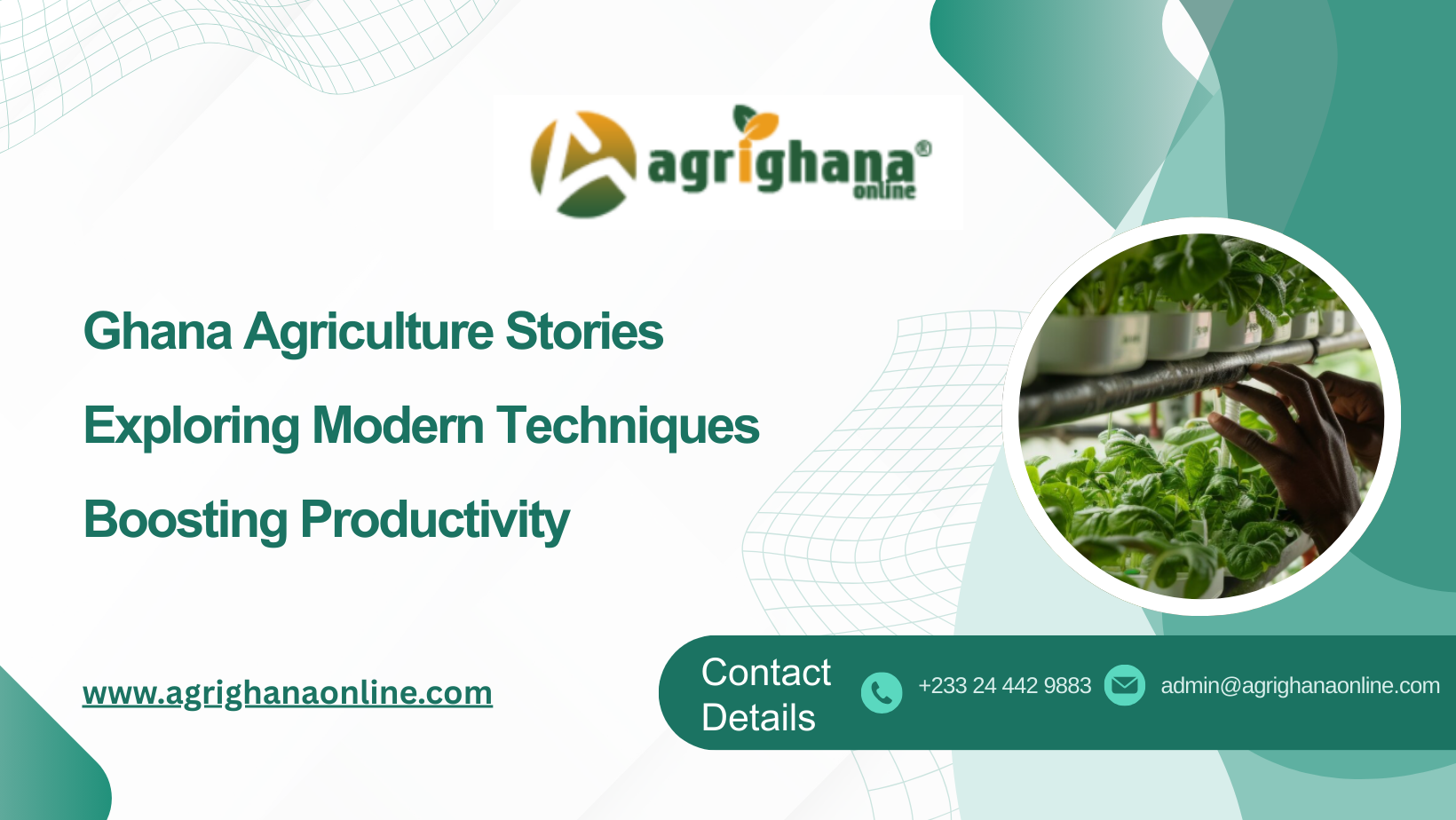 Ghana Agriculture stories