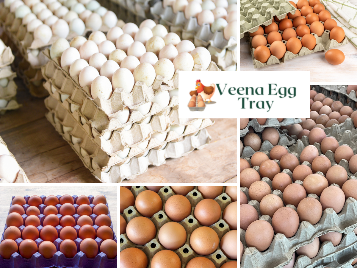 Veena Egg tray