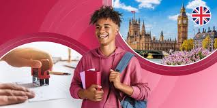 student assignment help