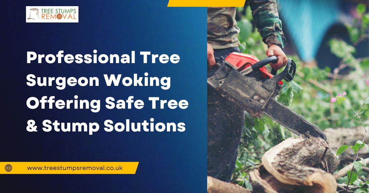 Completed tree stump removal Woking project improving garden space and safety