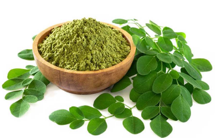 Moringa Oleifera Extract