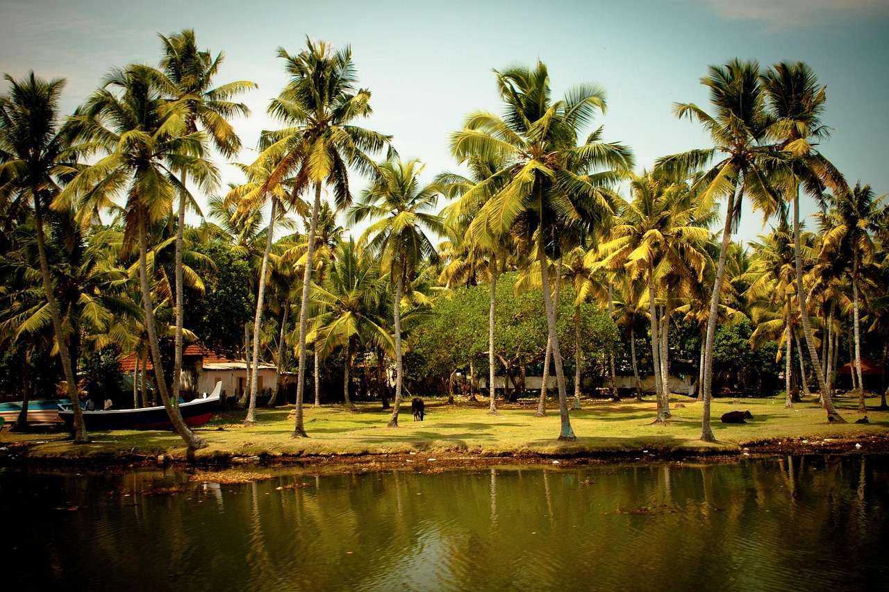 kerala tour packages