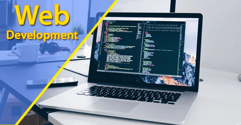 Web Development Company in Florida